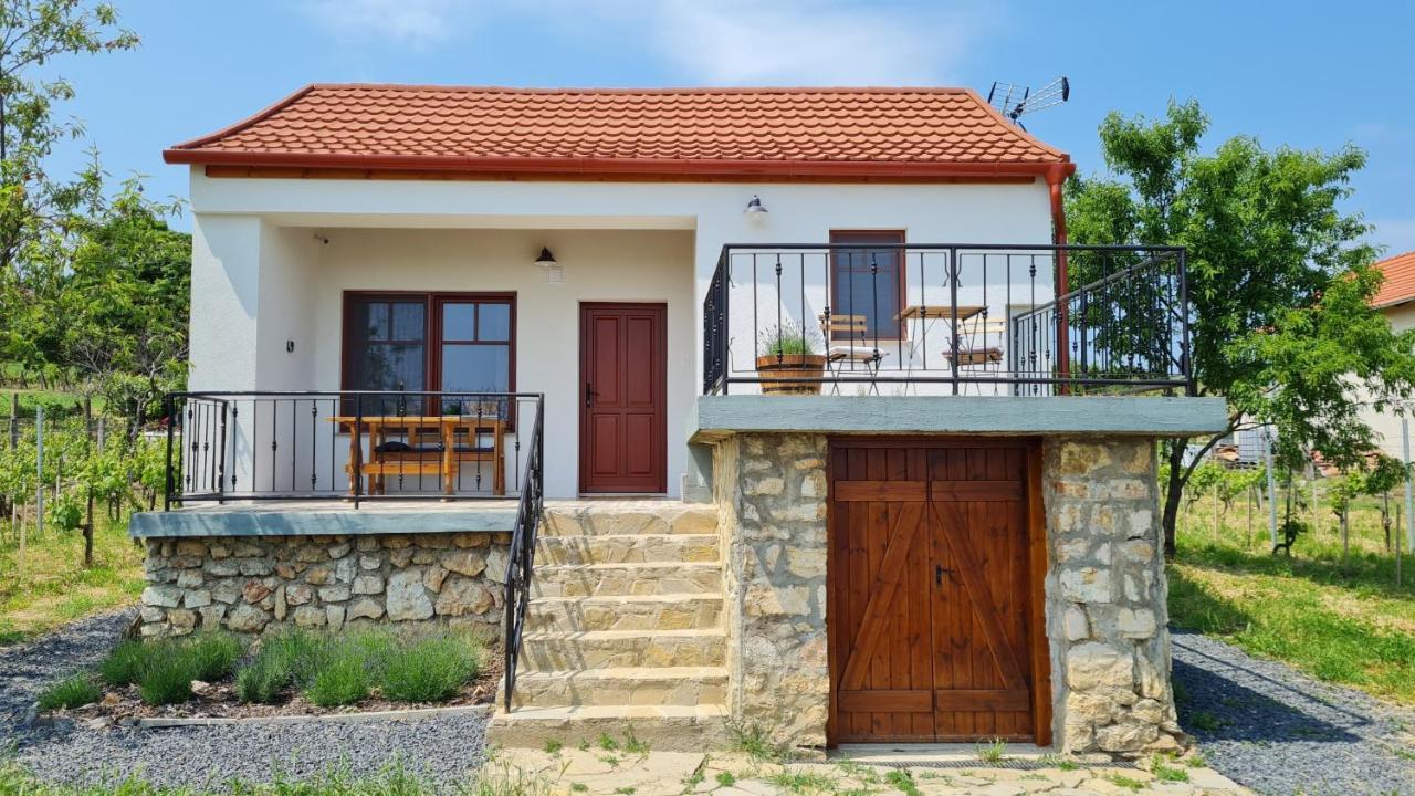 Jera Pince Es Vendeghaz Holiday home